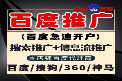 某某sem推广公司实战案例：精准投放提升转化率